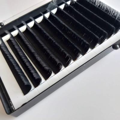 China Natural Soft Long Volume Extension Easy Fanning Premium Eyelash Extensions for sale