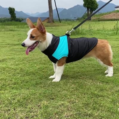 China High-end Brand Dog Zipper Jacket Coat Luxury Fashionable Waterproof Cloth Warm Stocked Dogs Accessories And Clothing for sale