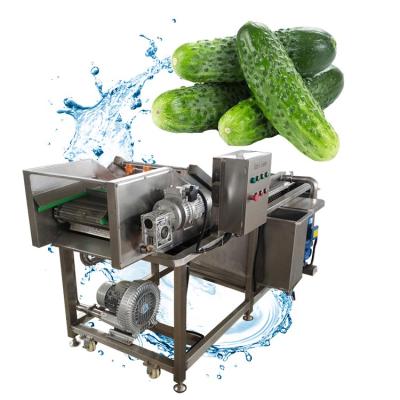 China Speed ​​Adjustable Fruit Seal Machine Bubble Washing Machine Fruit And Vegetable Seal Machine for sale