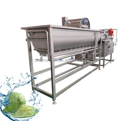 China High Efficiency Easy Operate Continuous Vegetable Washing Machine Fruit Jetting Machine for sale