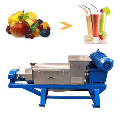 China Snacks Factory Double Berry Squeezer Onion Squeezer Machine Screw Press Juicer for sale