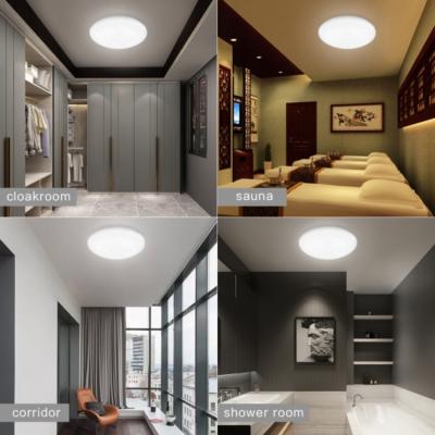 China 2021 APP Remote Control New Style Humanized Reflective Design Waterproof Smart Ceiling Lamp Lighting for sale