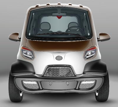 China New Made In China Mini 4 Wheel 2 Seats Adults Car EEC Electric Car For Sale 2 for sale