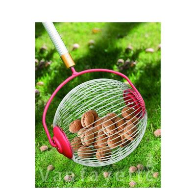 China Multifunctional Walnut Chestnut Fruit Harvester Garden Nut Rolling Harvester Nut Harvester for sale