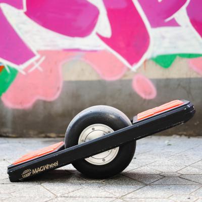 China Off Road/Waterproof/Outdoor Sports/Cool Hover Board With One Wheel One Wheel Electric Skateboard for sale