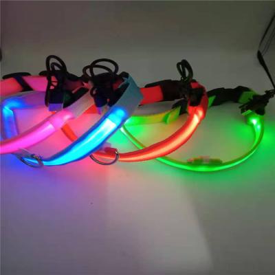 China Viable Nylon Glowing Bright Flashing Light In Dark Pet Cat Perro USB Rechargeable Led Dog Collar For Night Safety for sale