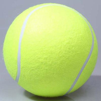 China Sustainable Supplies Outdoor Inflatable Tennis Ball Pet Toy Ball Cricket Giant 9.5 in Tennis Ball for Pet Chew for sale