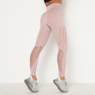 China Breathable Mesh Knitting Yoga Gym Leggings Yoga Pants For Women for sale