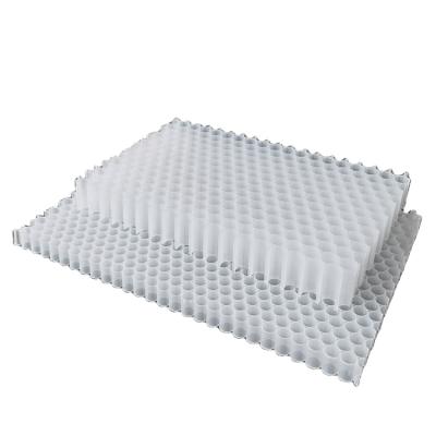 China 2022 China New Contemporary Light PP Plastic Honeycomb Core for sale