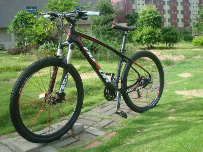 China 26er Carbon 30 Speed Mountain Bike under Brand of HONOR of Internal Cable Routing for sale