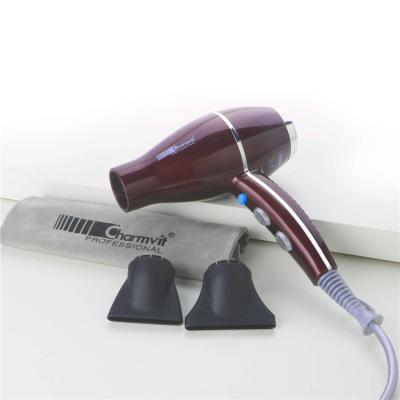 China A088 220-240V Hair Dryer Outdoor Quick Dry Lightweight Negative Ions Blow Dryer for sale