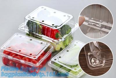 China Blister Packaging Food Container,Disposable Blister Fruit Salad Container,Plastic blister fruit box / container / fruit for sale