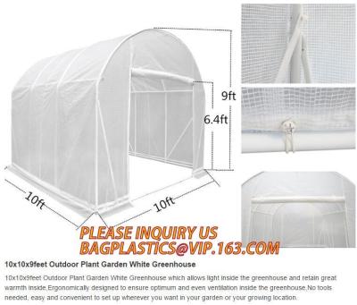 China Easy install greenhouse tomato single-span Plastic Film Green House,Low cost garden green houses for plating, PACKAGES for sale