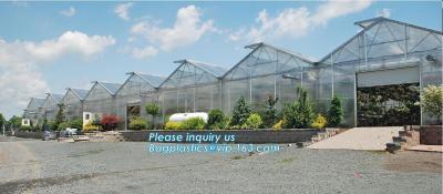 China Tunnel Green House with Insect Screen,tunnel green house for crops planting/nursery,warm houses garden green house made for sale