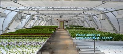 China small garden green house,Multispan Tunnel Greenhouse for Tomato Agricultural Green houses,fabric steel wire agriculture for sale