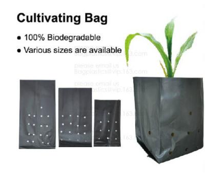 China PE CLIPS, CULTIVATING BAG, 100% BIODEGRADABLE VARIOUS SIZE ARE AVAILABLE,GREEN HOUSE,POT, PLANTING, PLANTER, FILM COVER, for sale