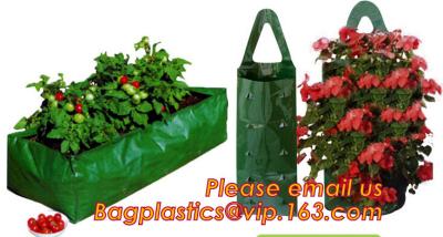 China Plastic Hanging Growing Strawberry Bags Planter ,Hanging Strawberry Planter Bags,Strawberry Planter for sale