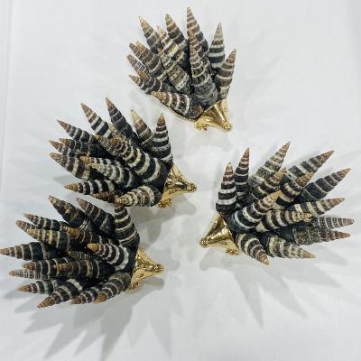 China China Hot Sale Natural Hedgehog Healing Stones Healing Crystals Screw Shell Fengshui And Healing Stones For Decoration And Gift for sale