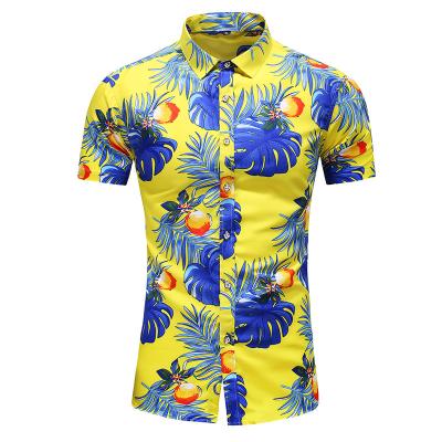 China Anti-Wrinkle Summer Short Sleeve Plus Size Printed Shirts Landscape Print Seaside Men's Hawaiian Casual Men's Top Half Sleeve Shirt for sale