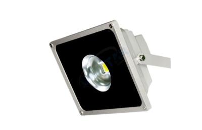 Китай Floodlighting СИД дистанционного управления 30W, прожектор 120º трансформатора Meanwell водоустойчивый/угол пучка 50° продается