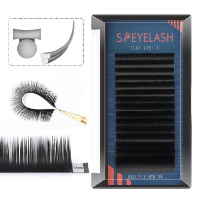 China Natural Soft Wholesale Silk Lashes Individual Flat Ellipse Eyelash Extension Supplies for sale