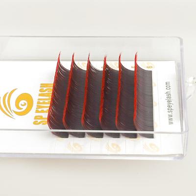 China Slim Private Label Colored Lashes Extension Tray Wholesale Vendor for sale