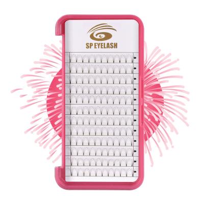 China Feather Sale 4D 5D Top Quality Hand Made Premium Volume Eyelash Extensions for sale