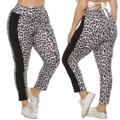 China Hot Sale Customized Fashion Breathable Plus Size Womens Dress Pants Womens Pants Wholesale Price High Waist Leopard Printed Leggings for sale