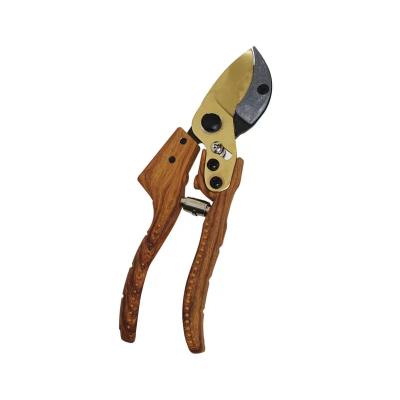 China Professional Garden Pruning Shears Scissors Garden Pruners Tree Trimmers Garden Pruning Fruit Branches Flower Scissors for sale