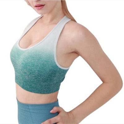 China Sexy Bra Padded Breathable High Stretch Bra Gradient Sports Yoga Bras Seamless Running Top Shockproof Gym Bra for sale