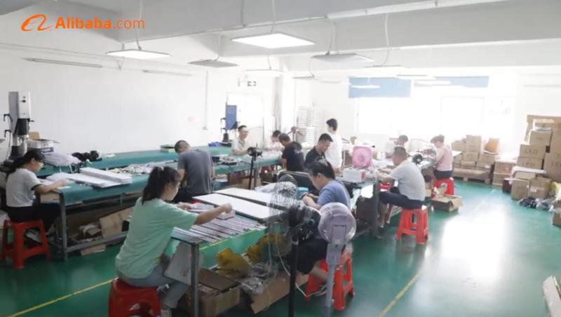 Proveedor verificado de China - Pileds Led Light Co., Ltd.