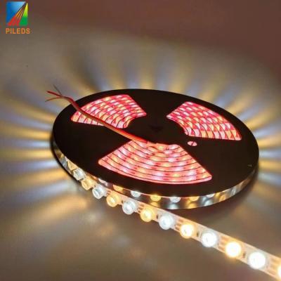 China 3000K 6000K LED Wall Washer Lights Outdoor Com CRI 80 30 Graus ângulo de feixe à venda