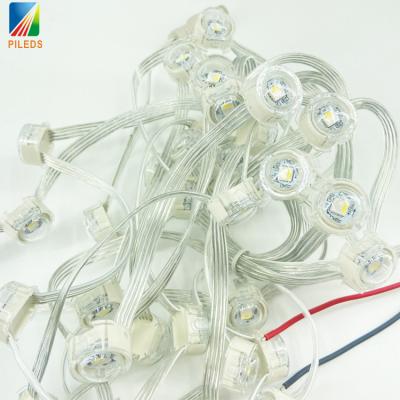 China IP67 Anti-Cold UV SK6812 DMX 20MM RGBW Pixel LED Light For Outdoor LED Screen Christmas Plastic Material for sale