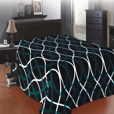 China Custom Home Textiles 220gsm Polyester Flannel Super Soft Fleece 100% Printed Blanket for sale