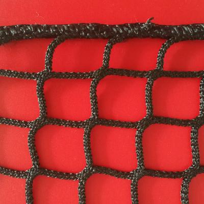 China Sport field anti cat net PE netting animal protection net fence nets for katze for sale