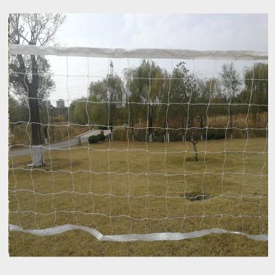 China Portable Durable PE Volleyball Net Sports Ball Nets From Professional Factory for sale