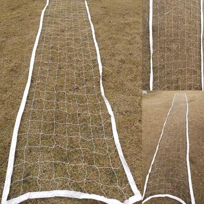 China Durable Portable Professional Volleyball Net Sport Goal Nets Separate Sport Court Net Wholesale Price for sale