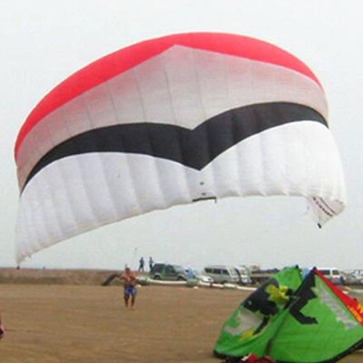 China Professional Factory Power Kite Trainer Flying Kite Dual Line Control Kite for sale