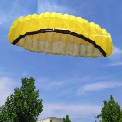 China Entertaiment double line power kite parachute kite paraglider decoration inflatable beach kite for sale for sale