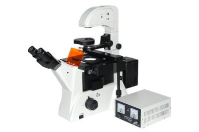 China XDY-2 Fluorescence microscope China Manufacturer for sale