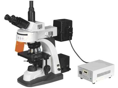 China 7606 Fluorescence microscope China Manufacturer for sale