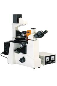 China XDY-1 Fluorescence microscope China Manufacturer for sale