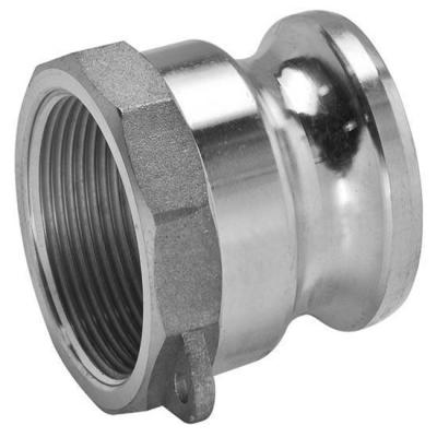 China Oil Type A NPT 304 stainless steel camlock 4