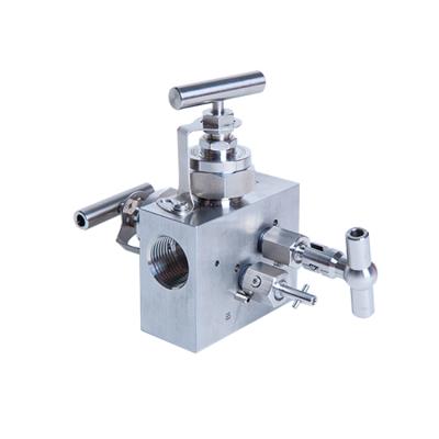 China 20000 PSI General High Pressure Stainless Steel Thread Manifold Stop Valve Hydraulic Valve Manifold for sale