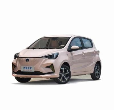 China Maximale snelheid 310KM Changan Benben E-Star hatchback de 5-deurs 5-zits SUV met en meer Te koop