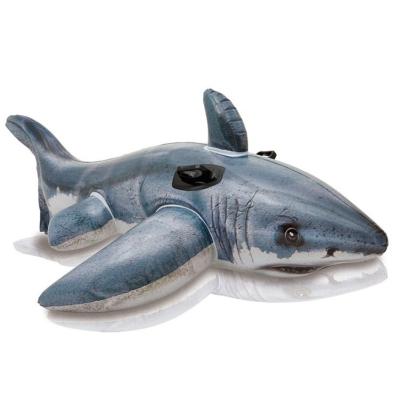 China PVC Intex 57525 Cool Great White Handsome Shark Turn-on Kids Toy With 2 Heavy Duty Handles for sale