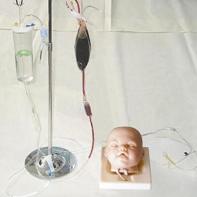 China Vivid Infant Model For Bilateral Intravenous Injection Mannequin Head for sale