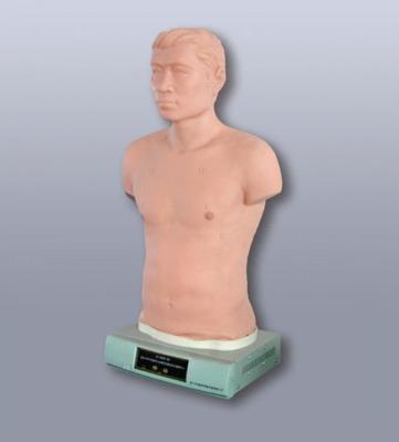 China Clinical Auscultation and Palpation Electronic Model Training Model for sale