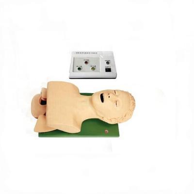 China High Quality First Aid Practice Chinon Medical Science Training Intubation Mute for sale