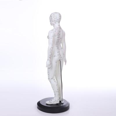 China School 170cm Standard Needle Point Human Acupuncture Model for sale